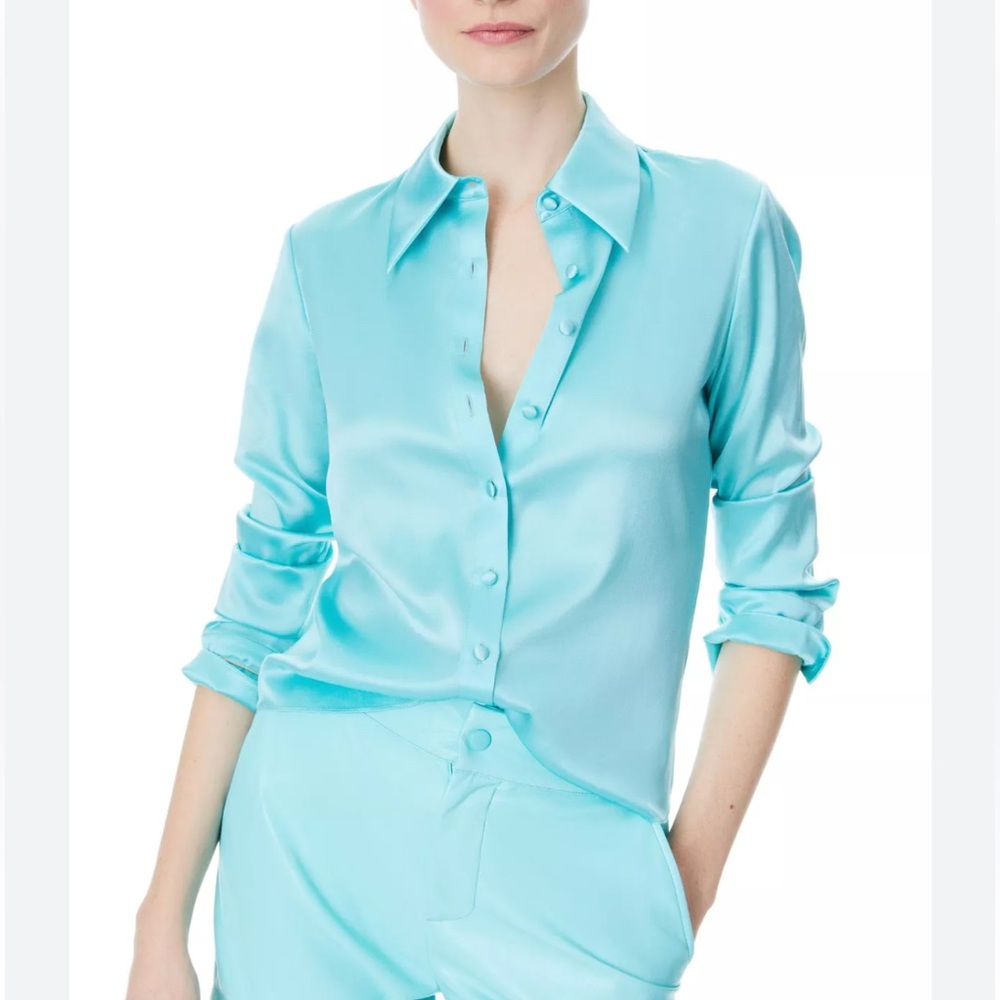 Alice and Olivia Silk Blue Button Up top